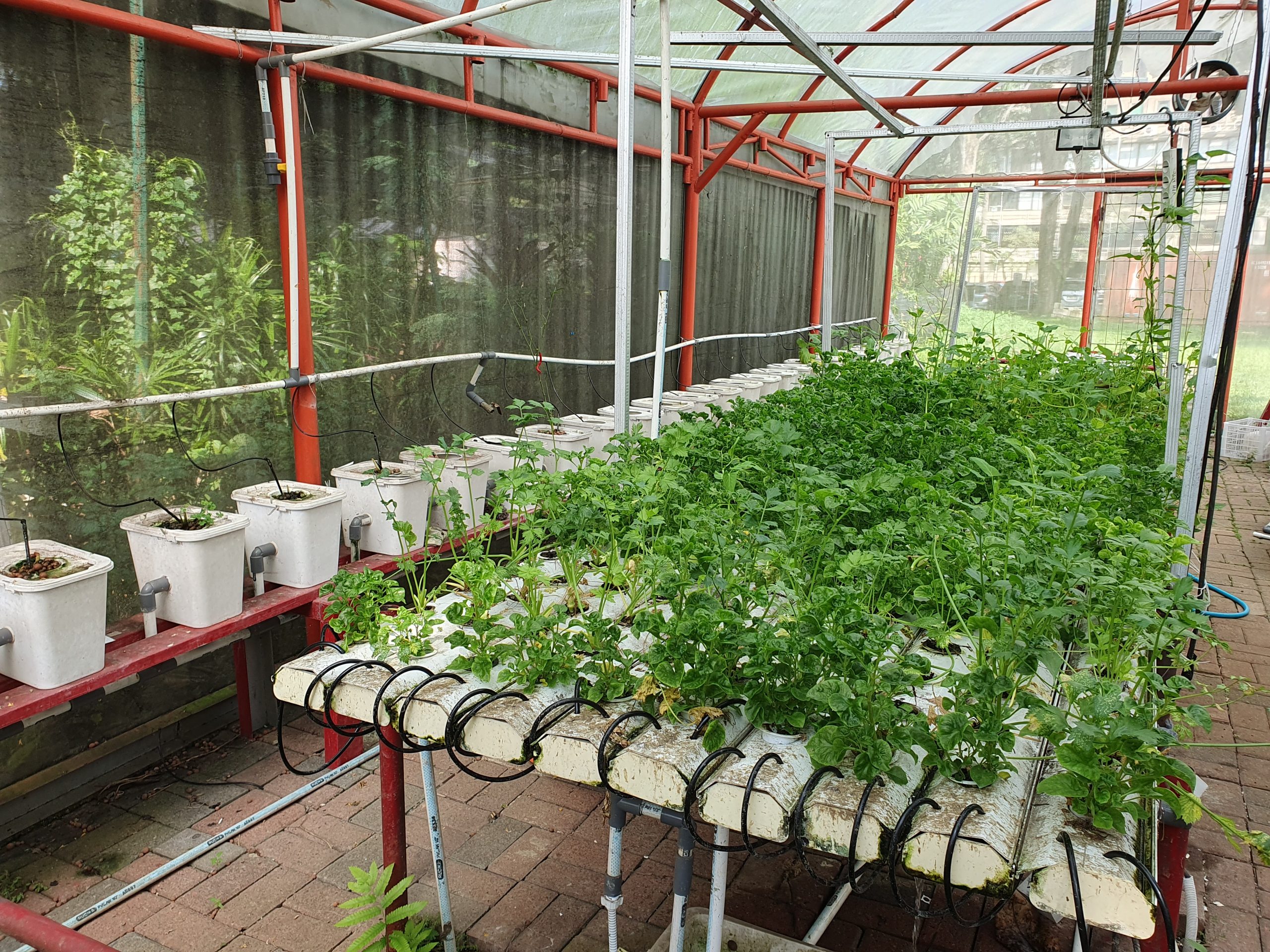 Greenhouse for academic and research activities