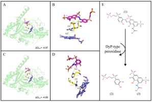 Eco-Friendly Solution for Textile Waste Pollution: A Research by Biology Study Program